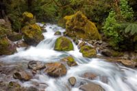 Marion Creek Rapids, Fiordland, South Island New Zealand